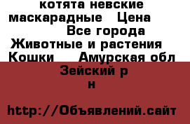 котята невские маскарадные › Цена ­ 18 000 - Все города Животные и растения » Кошки   . Амурская обл.,Зейский р-н